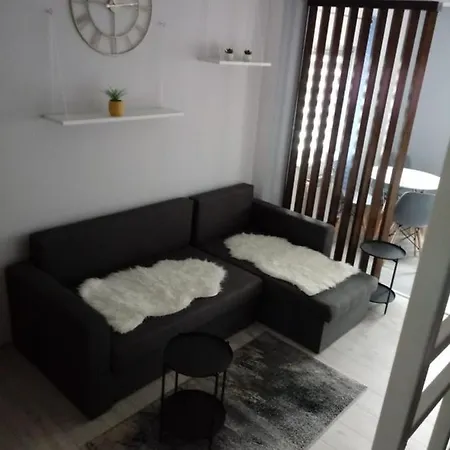 Apartament Górski Strumyk